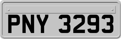 PNY3293