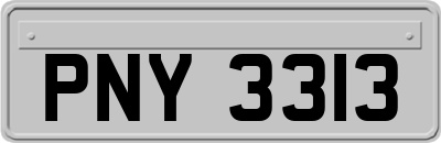 PNY3313