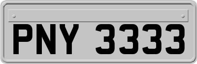 PNY3333