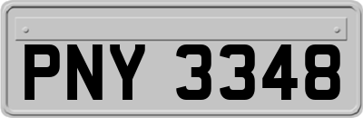 PNY3348