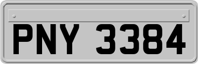 PNY3384