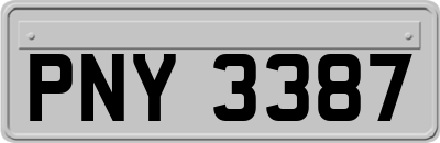 PNY3387