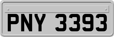 PNY3393