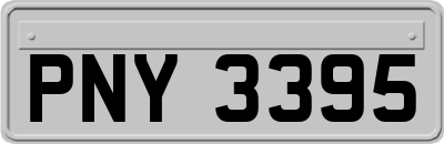 PNY3395