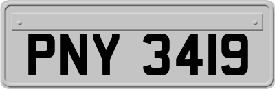 PNY3419
