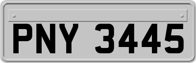 PNY3445