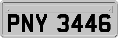 PNY3446