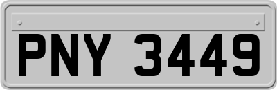 PNY3449