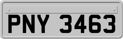 PNY3463