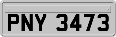 PNY3473