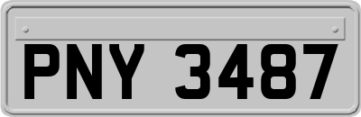 PNY3487