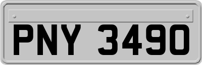 PNY3490