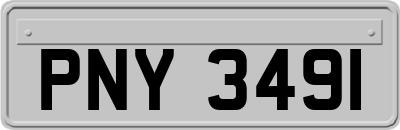 PNY3491
