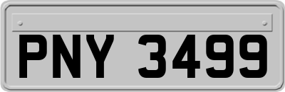 PNY3499
