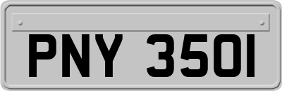 PNY3501