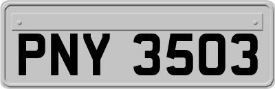 PNY3503