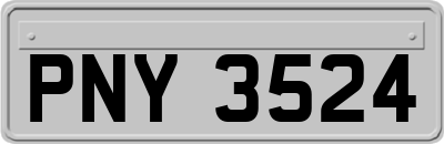 PNY3524