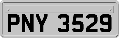 PNY3529
