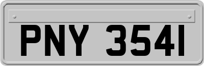 PNY3541