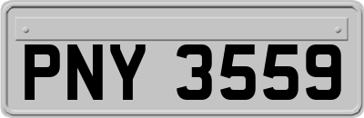 PNY3559