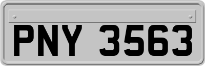 PNY3563