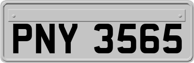 PNY3565