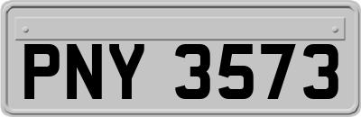 PNY3573