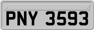 PNY3593