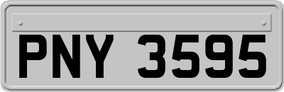 PNY3595