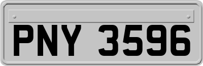 PNY3596