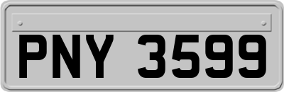 PNY3599