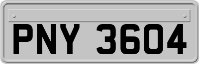 PNY3604