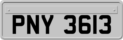 PNY3613