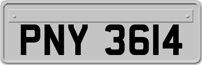 PNY3614