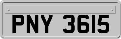 PNY3615