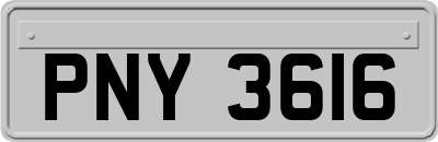 PNY3616