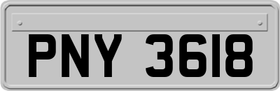 PNY3618