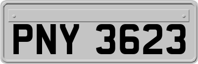 PNY3623