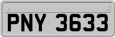 PNY3633