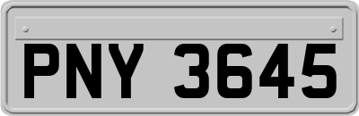 PNY3645