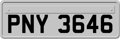 PNY3646