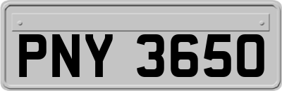 PNY3650