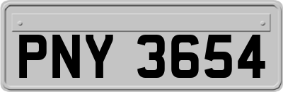PNY3654