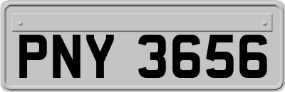 PNY3656