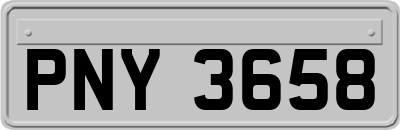 PNY3658