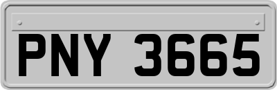 PNY3665