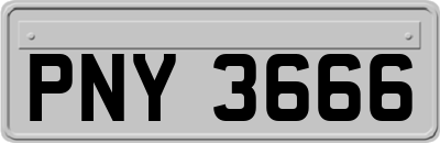 PNY3666