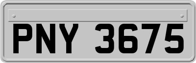 PNY3675
