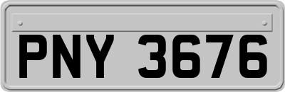 PNY3676