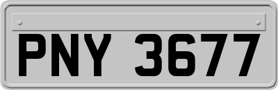 PNY3677